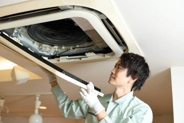 Air Duct Mold Removal in Cumberland, WI